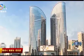 “光谷独角兽培育17条”发布 单个企业最高奖5亿元视频封面