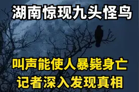 湖南村民发现九头鸟，叫声让人身体不适，记者深入发现原由视频封面