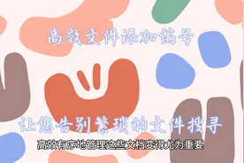 高效文件添加编号，让您告别繁琐的文件搜寻视频封面