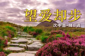 伤感情歌催人泪下，萨克斯演奏《望爱却步》，深情婉转令人难忘！