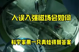 人误入强磁场会如何？科学家用一只青蛙得到答案，获搞笑诺贝尔奖