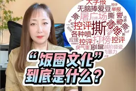 侮辱、谩骂、造黄谣，“饭圈文化”到底是什么？他们为何如此疯狂视频封面