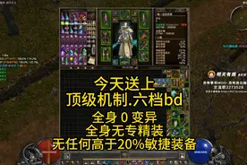 恐怖统治mod畅玩版 顶级机制-活力落雨（D2野蛮+巫医）#单机游戏视频封面