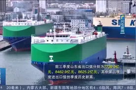 前三季度，山东省货物贸易进出口稳定增长，较去年同期增长3%视频封面