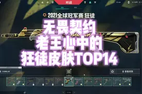 无畏契约截至目前，老王心中的狂徒皮肤TOP14（上）