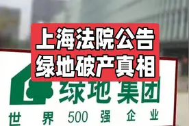 上海法院公告立案绿地建设破产，国企信仰破灭视频封面