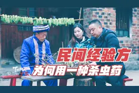 小偷留下的骨伤方，为何引发专家好奇？这种独特草药究竟有何疗效