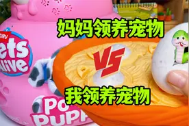 妈妈领养宠物vs我领养宠物，玩具小狗吃骨头？大白鸭生混血小鸭？