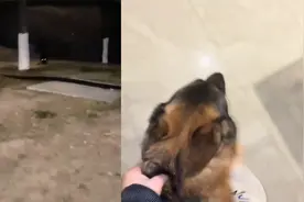 女子偶遇自家狗在楼下溜达，一路骂着提溜回家，开门一幕瞬间傻眼