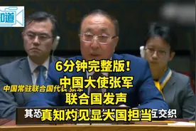 6分钟完整版！中国大使张军联合国发声，真知灼见显大国担当视频封面