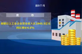 抢抓机遇深挖潜能 高质量发展成色更足信心更强视频封面