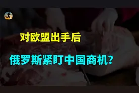 对欧盟出手后，丹麦喊疼，替代欧盟猪肉俄罗斯紧盯中国商机？视频封面