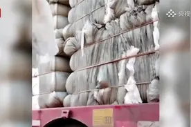 涉多个知名品牌！卫生巾、纸尿裤残次料，竟被翻新“二次销售”视频封面