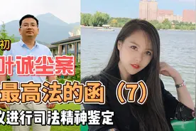 就叶诚尘案致最高法的函 建议进行司法精神鉴定（7）视频封面