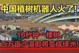 中国植树机器人火了！10秒种一棵树，百万亩沙漠即将变成绿洲视频封面