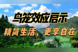 "未来或需？鸟笼效应启示：精简生活，更享自在"视频封面