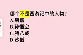 哪个不是西游记中的人物？这几个答案，哪一个正确？