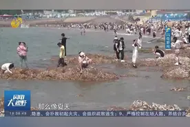 青岛：海水浴场尚未正式开放，切莫擅自下海游泳，背后暗藏风险视频封面