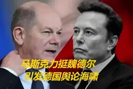 马斯克再挺魏德尔！这一举动引发的德国舆论巨浪已波及多领域！视频封面
