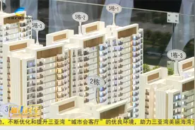5月1日起 三亚市开展安居房租赁行为整治工作视频封面