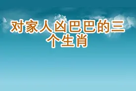 对家人凶巴巴的三个生肖视频封面