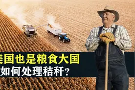美国也是粮食大国，他们是如何处理秸秆的？农民朋友值得一看视频封面