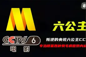 叛逆的央视六公主CCTV6，专治明星各种臭毛病，傲娇内涵无人能敌视频封面