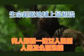 生命起源：地球上最初没有人，那第一位女人和男人是怎么诞生的？视频封面