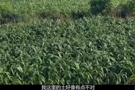 陕西挖出穆桂英墓，棺内钢刀八百年锋利如新，专家：传说都骗人的视频封面