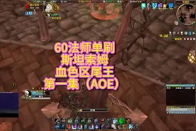 60级法师单刷斯坦索姆血色区（第一部分AOE篇）视频封面