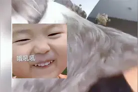 下完崽的狗子想给主人喂奶，网友：吃一口吧 别让狗子寒心了视频封面