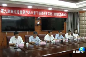 市委第九巡察组向葫芦岛八家子经济开发区党工委反馈专项巡察情况视频封面