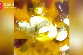 店主回应外卖里吃出疑似鼠尾蛆：颜色淡白 是泡椒视频封面