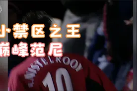 巅峰范尼现在德转身价值几个亿？视频封面