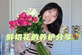 玫瑰养护保姆级教程！醒花插花全攻略
