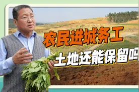 农民进城务工土地还能保留吗？朱启臻：连续2年荒芜有权收回土地视频封面
