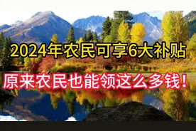 2024年农民可享6大补贴，家家都能领，原来农民也能领这么多少！视频封面