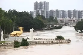 广东31个暴雨预警生效，开启新一轮强降雨，一地已停课