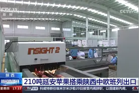 210吨延安苹果搭乘陕西中欧班列出口视频封面