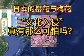 樱花斗梅花，“文化入侵”真有那么可怕吗？视频封面