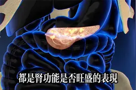 水肿，蛋白尿，泡泡尿不用怕？黄芪加它一起煮水，肾脏排毒剂视频封面