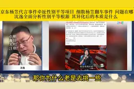 沈逸专业解读京东杨笠代言事件来龙去脉