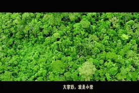 一口气看完《绿色地狱》大学生误入食人部落视频封面