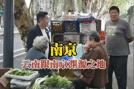 明朝30万南京人留在云南，寻找很多云南人的祖地南京柳树湾。视频封面