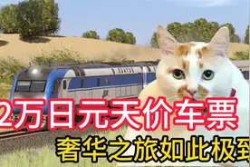 72万日元天价车票？乘坐日本观光火车，奢华之旅竟能如此极致视频封面