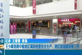 王少峰到南中轴地区调研检查安全生产、地区规划建设等工作视频封面