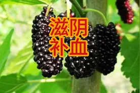 补血滋阴：中医常用这种水果视频封面