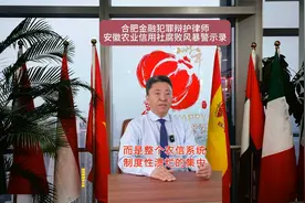 安徽金融犯罪辩护律师安徽信用社商业银行腐败风暴刑事警示录视频封面