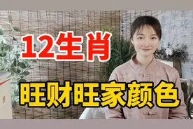 12生肖旺财的幸运色，看看你适合什么颜色？赶快来看看视频封面