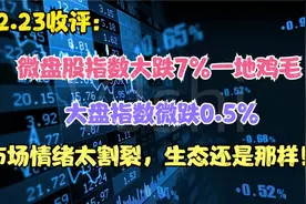 微盘股指数大跌7%一地鸡毛，市场情绪太割裂，生态还是那样！视频封面